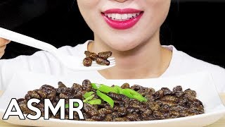 ASMR SILKWORM PUPA BEONDEGI 번데기 리얼사운드 먹방 Eating Sounds [upl. by Stacia]