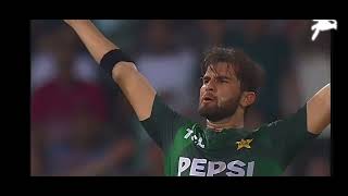 PAKISTAN vs SOUTH AFRICA T20 HIGHLIGHTS MATCH [upl. by Hotchkiss]