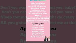 APT Rose version coded lyrics music rosé brunomars apt [upl. by Ydeh721]