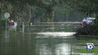 ‘This is pretty awful’ Tampa residents assess damage after Hurricane Milton [upl. by Fan]