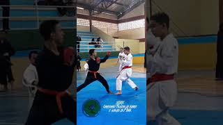 39° Campeonato Paulista de Karate e Kobudo da FBKK Karate karatedo [upl. by Vin]