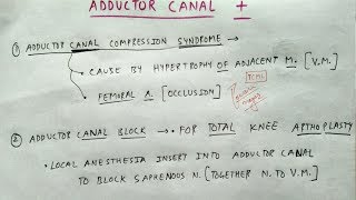 Adductor Canal  Part 4  Clinical  Lower Limb Anatomy  TCML [upl. by Urion840]