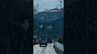 Kashmir winter season ❤️ [upl. by Leidba]