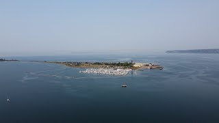 Kayaking Semiahmoo Bay  Blaine Washington State [upl. by Akienaj]