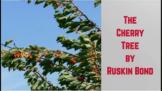 CHERRY TREE BY RUSKIN BOND  HSC ENGLISH  THE CHERRY TREE POEM  Explanation in English [upl. by Nyrac]