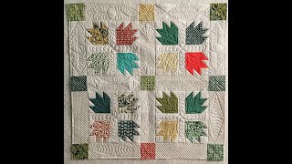 Sassy Sashings Quilting Design for Longarm Systems from Quiltablecom [upl. by Idnym]