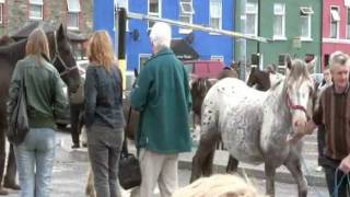 Bantry Horse Fair [upl. by Blood565]