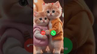 Best Viral Message Tone 2024  SMS Ringtone  Msg Ringtone  Message Ringtone  ringtone 🎶 [upl. by Dave346]