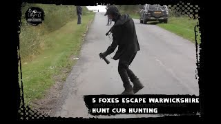 Five Foxes escape Warwickshire Hunt cub hunting [upl. by Reiko609]