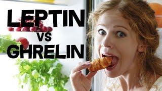 Leptin and Ghrelin  Hunger Hormones [upl. by Dorri202]