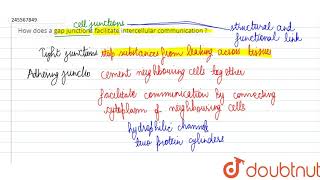 How does a gap junctions facilitate intercellular communication [upl. by Isiah]