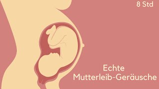 Mutterleib Geräusche 🌙 Die Beste Baby Einschlafhilfe  für ein schnelles Einschlafen ihres Babys [upl. by Ecirtaed]