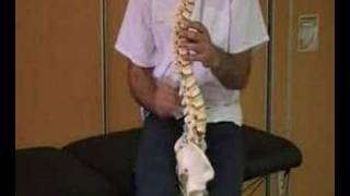 Nº 100 Humor y fisioterapia Funcionamiento de la COLUMNA VERTEBRAL spine how it works [upl. by Turley]