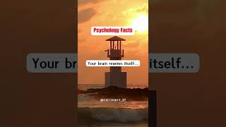 Your brain rewires itself shorts psychologyfacts facts factsdaily [upl. by Han]