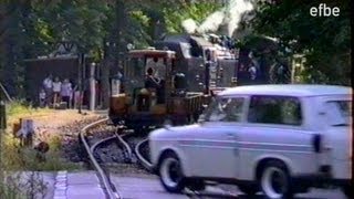 Zeitreise Selketalbahn 1990  Deutsche Reichsbahn  DDR [upl. by Anaibib767]