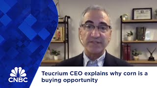 Teucrium CEO explains why corn is a buying opportunity [upl. by Elyag]