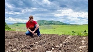 TIME TO PLANT our VEGETABLE garden  🥔  🧅  🥕 Beets zucchini and much much more [upl. by Edmondo]