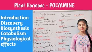 Plant Hormone  polyamines  biosynthesis  hindi  catabolism  physiology effect  chelsi [upl. by Mulac]