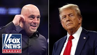 Joe Rogan advises Trump after 2024 victory Let them all talk their s [upl. by Obbard]