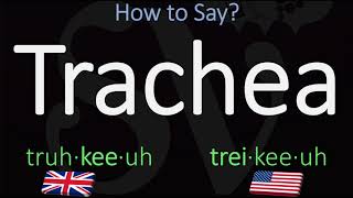 How to Pronounce Trachea British Vs American English Pronunciation [upl. by Modnarb]