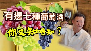 紅酒入門  紅酒知識 Wine Knowledge  7種葡萄酒你飲過邊種  紅酒知識 第二集   品酒  認識葡萄酒 [upl. by Mandych]