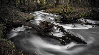 Horner Ancient Woods Exmoor National Park Sat by the river enjoying a cuppa amp taking photos shorts [upl. by Eboh]