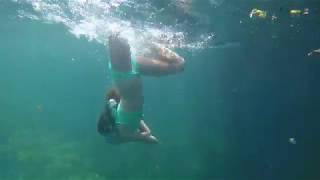 Manatee Springs State Park Swim [upl. by Knitter]