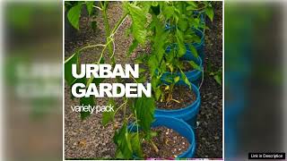 AllinOne Urban Garden Variety Pack – Seeds Review [upl. by Eichman]