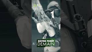 Extrait 2 émission 6 Notre forêt demain 3110 [upl. by Enibas]