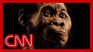 That just died Paleoanthropologist debunks myth about humans [upl. by Yonit]