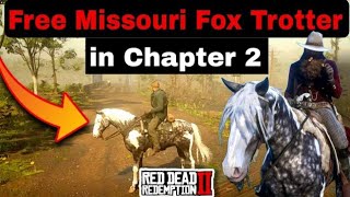 How to Get Rare Missouri Fox Trotter From Saint Denis Stables in Chapter 2 For Free Glitch [upl. by Lodhia332]