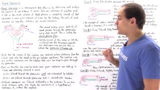 Renal Clearance Renal Plasma Flow and Glomerular Filtration Rate [upl. by Ileek469]