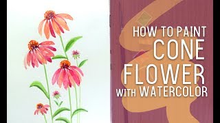 EASY Watercolor flower ConeflowerEchinacea [upl. by Sato631]