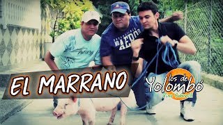 El Marrano  Los De Yolombó l Video Oficial [upl. by Thay]