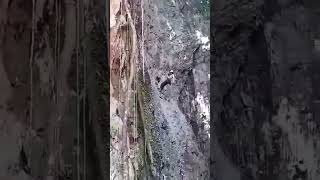 Mountain Rock climb trending adventure rockclimbing laostourism shortviral [upl. by Neitsirk]