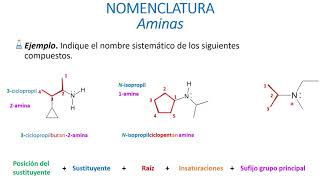 Nomenclatura de aminas [upl. by Lubin97]