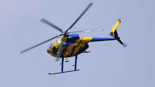 Roban MD500E 800 at Hilltop RC Summer Fun Fly 2024 [upl. by Jorgan]