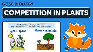 Competition in Plants  GCSE Biology [upl. by Appolonia]