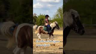 Crocetta con transizione al passo finale Non ci fermiamo mai ♥️ cavallo equitation horse [upl. by Takakura]