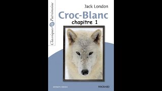 Chapitre 1  Croc Blanc de Jack London  version abrégée [upl. by Leopoldeen222]