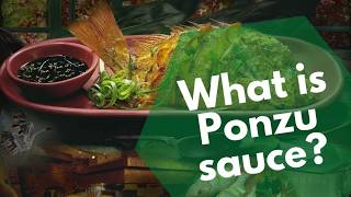 What is Ponzu sauce and how do you use it [upl. by Yeta854]