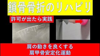 鎖骨骨折のリハビリ許可が下りれば実施したい肩甲骨安定性向上運動 [upl. by Aurelia]