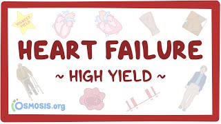 Heart failure Pathology review [upl. by Rapsac]