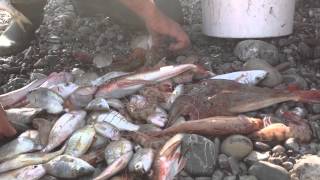 I Pescatori di Roseto Capo Spulico [upl. by Arrec]