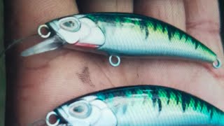 Mad minnow harvest Lures [upl. by Breger678]