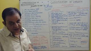 Classification Of Protochordata ‐ Urochoradata amp Cephalochordata ln Hindi  11th12th amp Neet [upl. by Kingsly414]