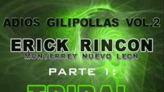 Tribal Mix 2010 Parte 1  Adios Gilipollas Vol 2  Erick Rincon MTY [upl. by Nyvlem]