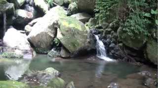 陽明山國家公園  YangMingShan National Park Taipei Taiwan [upl. by Centeno]