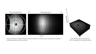 Monarc Cathodoluminescence Detector WARCL [upl. by Einwahs]