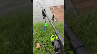 lowisko halinow carp carpfishing fishing angler metaldetecting [upl. by Ttevy]